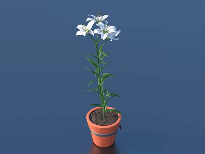 Bonsai Potted Plant With White Flowers Green Stems Orange Pot And Black Stripes 3d model