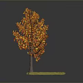 Autumn Tree with Red and Orange Leaves Brown Trunk and Green Grass on Gray Background