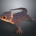 Spiked Back Reptile Lizard With Vibrant Orange Eyes And Detailed Skin
