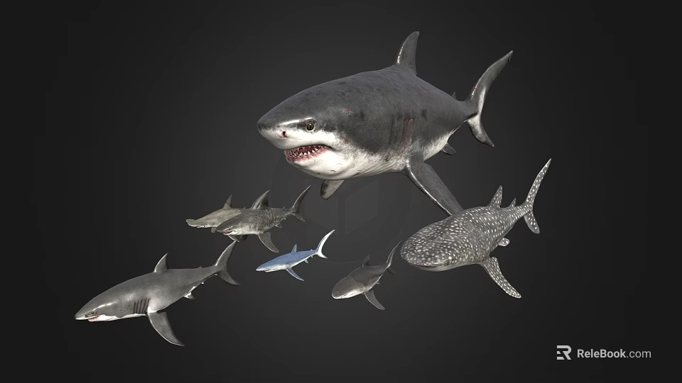 Various Aquatic Shark Species Swimming Together in Underwater Marine Scene 3d model 
