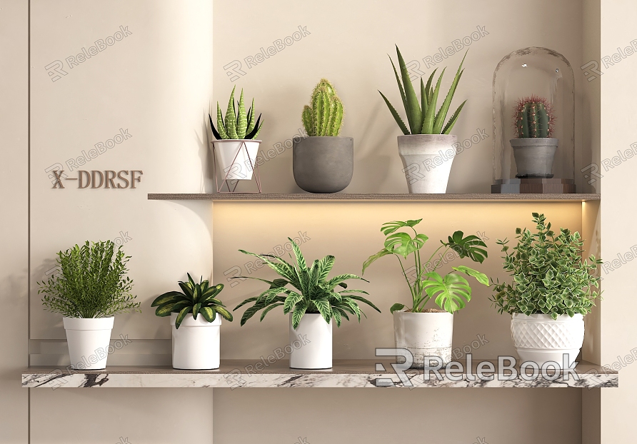 Green Plant Potted Plant Green Plant Small Potted Balcony Plant Aloe Cactus Flower Pot model