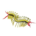 Green and Black Centipede With Red Antennae and Many Legs Illustration
