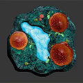 Vibrant Plant Scene Featuring Red Mushrooms With White Spots Lush Green Vegetation And Small Pond