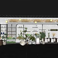 Green Plant Store With Potted Plants Decorative Shelves And Golden Wall Decor