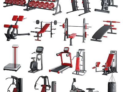 Various Professional Fitness Sports Equipment Including Dumbbells Barbells Treadmills And Benches 3d model