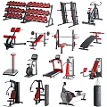 Various Professional Fitness Sports Equipment Including Dumbbells Barbells Treadmills And Benches