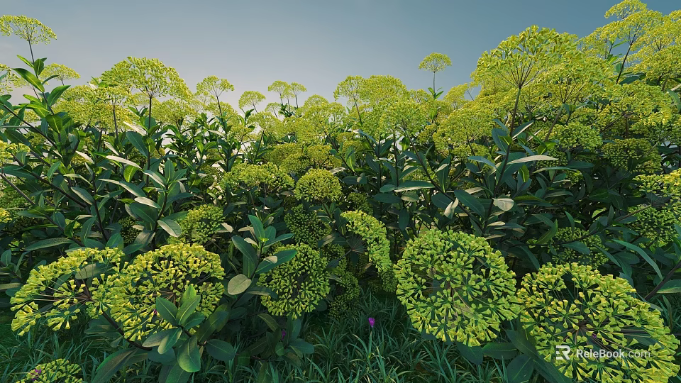 Green Shrubs with Yellow Flower Clusters and Leafy Foliage Under Clear Blue Sky 3d model 