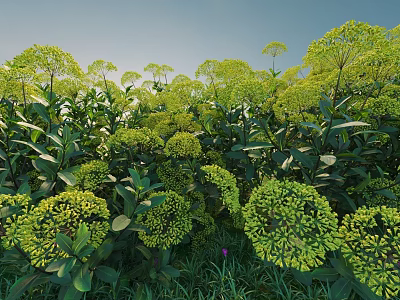 Green Shrubs with Yellow Flower Clusters and Leafy Foliage Under Clear Blue Sky 3d model