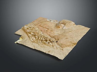 Ancient Parchment Artifact With Brownish Texture And Ancient Writing Marks On Gray Background 3d model