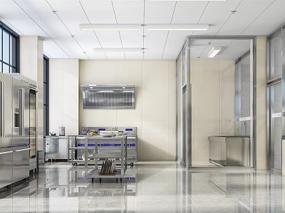 Modern Commercial Kitchen Interior With Stainless Steel Worktables Range Hood And Shiny Floor 3d model