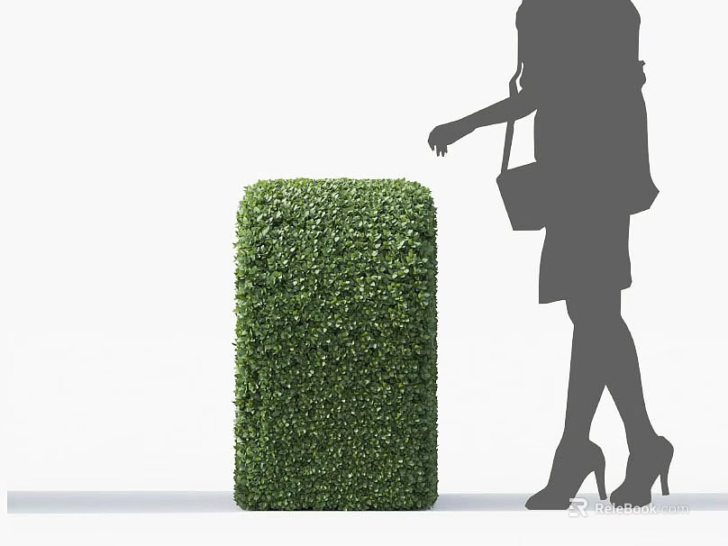 Green Shrub with Woman Silhouette Reaching to Touch in High Heels with Handbag 3d model 