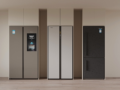 Modern side-by-side refrigerator single-door refrigerator model