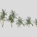 Lush Green Shrubs with Various Sizes and Heights for Garden Landscape Decoration