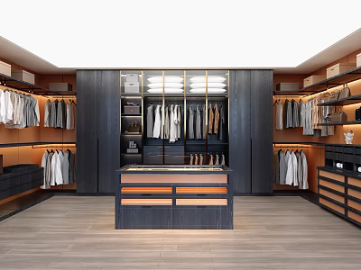 Modern Walk in Closet Interior With Hanging Racks Shelves Drawers And Storage Cabinets 3d model