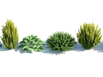 Modern shrubs 3d model