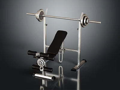 Home Gym Barbell Bench Press Sports Equipment with Stable Frame and Weight Plates 3d model