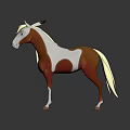 Brown And White Pony With White Mane Tail Black Ear Tag On Dark Background