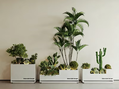 Potted Plants in White Planters with Various Greenery for Home Decor 3d model