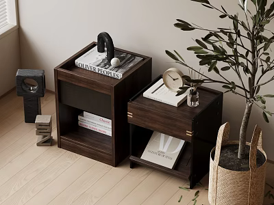 Two Dark Wooden Nightstands With Books Clock Decorative Items And Potted Plant 3d model