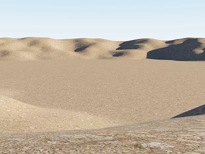 Natural Desert Microtopography With Undulating Sand Dunes And Arid Terrain 3d model