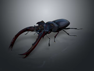 Stag Beetle With Large Curved Mandibles And Dark Exoskeleton Close Up View On Gray Background 3d model
