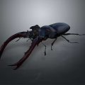 Stag Beetle With Large Curved Mandibles And Dark Exoskeleton Close Up View On Gray Background