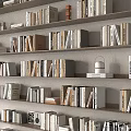 Organized Books And Magazines On Multi Layered Bookshelves With Various Sizes And Neat Rows