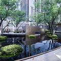 Modern Pergola in Urban Landscape with Water Pond and Green Plant Reflections