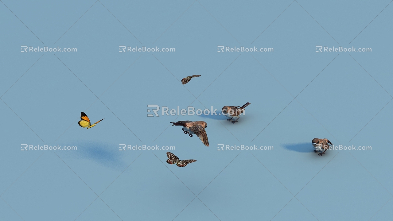 Modern Animal Bird Butterfly 3d model