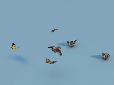 Colorful Flying Animals Including Yellow Black Winged Butterflies And Brown Birds On Blue Background 3d model