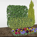 Shrubs In Garden Landscaping With Colorful Flowers Conical Green Plant And Lush Foliage