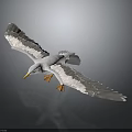 White Seagull Flying With Spread Wings Against Dark Background And Reflection 3d model