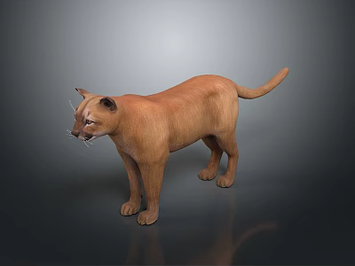 Realistic Brown Puma 3D Model in Standing Pose on Dark Background 3d model