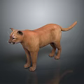 Realistic Brown Puma 3D Model in Standing Pose on Dark Background 3d model