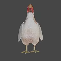 Game Movie Character White Chicken With Red Comb And Green Background