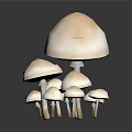 Group of White Mushrooms in Various Sizes on Black Background with Reflections