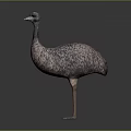 Emu Bird Standing Upright With Long Neck And Brown Feathers On Gray Gradient Background