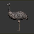 Ostrich spider bird bird bird bird game animal cartoon animal pbr animal 3d model