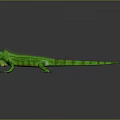 Reptile Lizard 3D Model Display On Black Background With Detailed Features