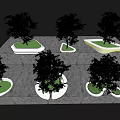 Modern Tree Planters With Irregular Shapes Green Grass And Trees On Gray Paved Ground