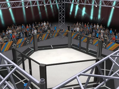Mixed Martial Arts Octagon Arena In Sports Event With Crowd 3d model