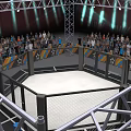 Mixed Martial Arts Octagon Arena In Sports Event With Crowd