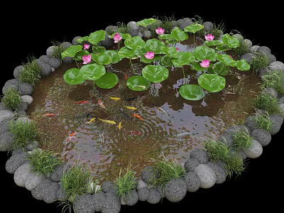 Circular Water Fountain With Stone Border Lily Pads Pink Lotus Flowers And Koi Fish 3d model
