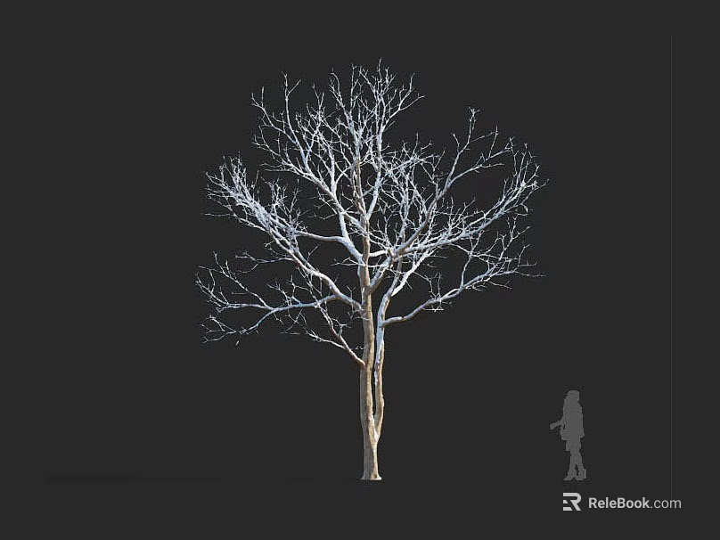 Tall Leafless Arbor Tree With Bare Branches Against Black Background And Human Silhouette 3d model 