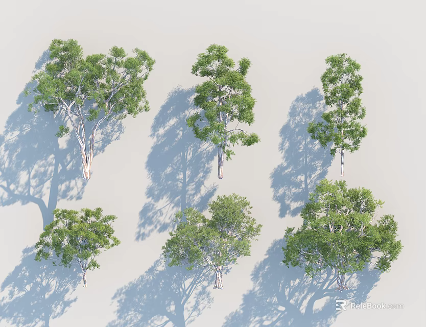 Arbor Trees With Various Forms Green Foliage And Shadows On Light Background 3d model