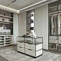 Modern Walk-in Closet Interior With Glass Door Cabinets Open Shelves Storage Boxes And Display Cabinet