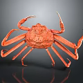 Red Crab With Long Legs And Detailed Texture On Dark Background With Reflection 3d model