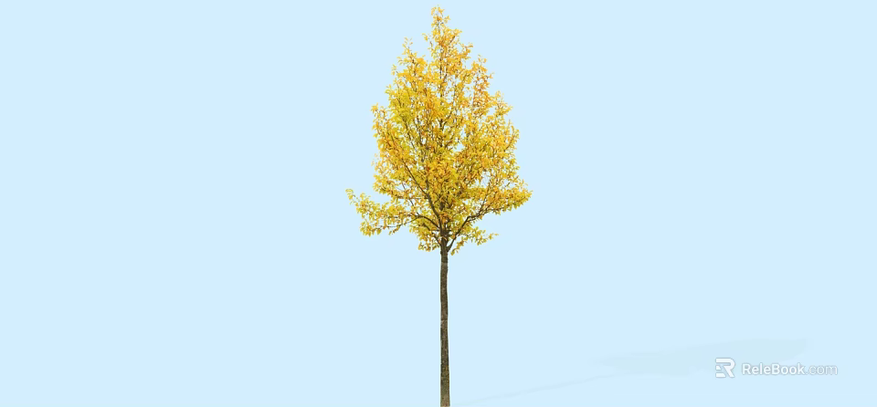 Arbor With Yellow Autumn Leaves And Tall Straight Trunk Against Blue Sky 3d model 