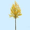 Arbor With Yellow Autumn Leaves And Tall Straight Trunk Against Blue Sky