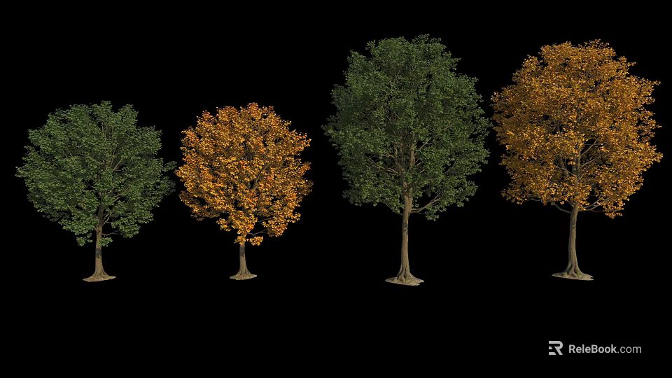 Four Arbor Trees With Green And Orange Leaves And Tall Trunks On Black Background 3d model 